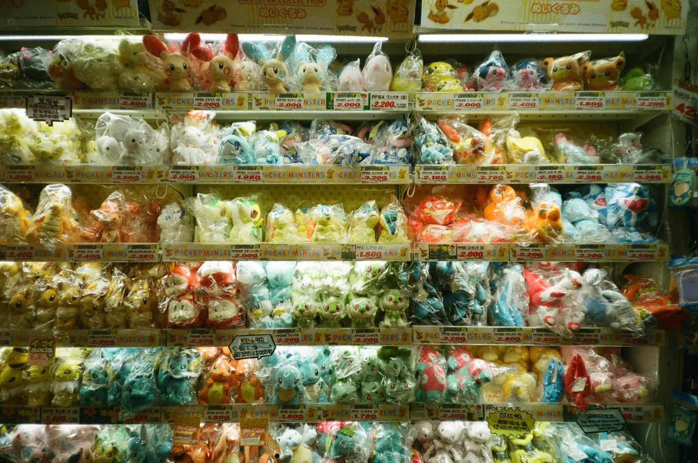 店頭に整然と並べられた各種ぬいぐるみ玩具のコレクション。- King Squishy