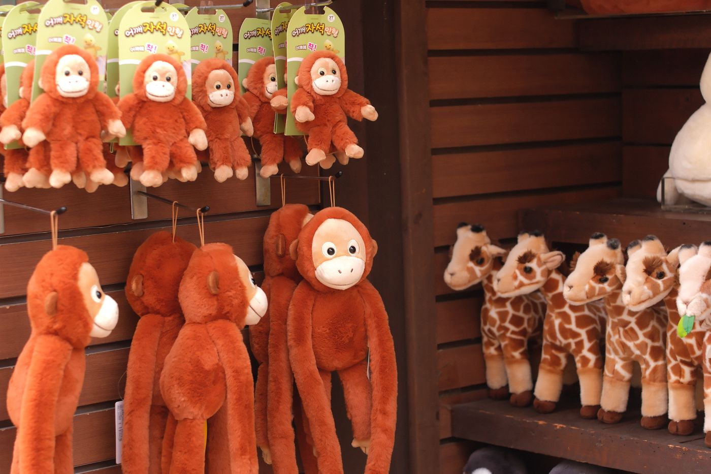Präsentation niedlicher Affen- und Giraffen-Plüschtiere in einer Ladenumgebung, perfekt als Geschenke für Kinder. - King Squishy