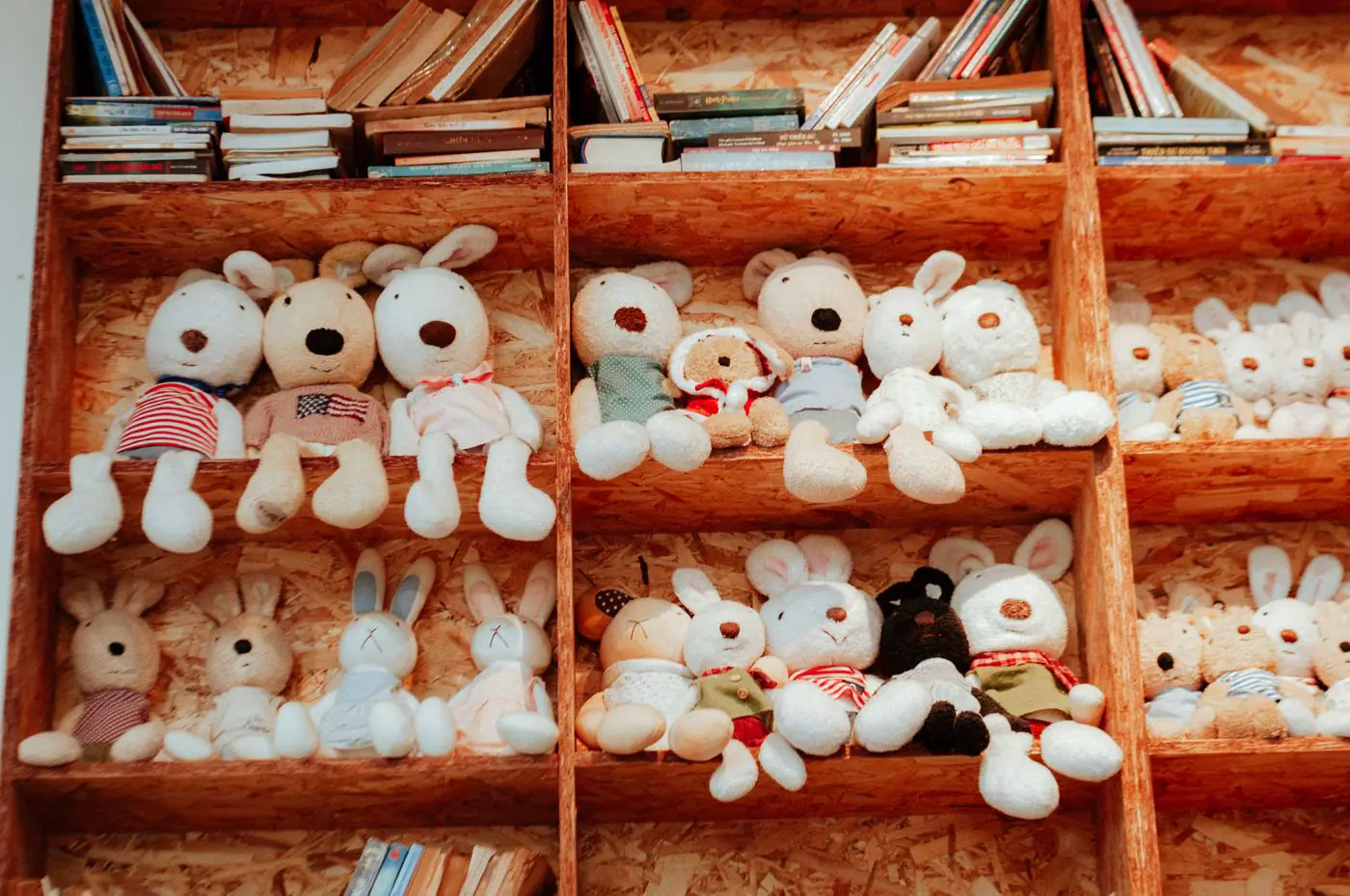 Cozy shelves filled with an adorable array of stuffed animals and books, perfect for a playful room decor. - King Squishy