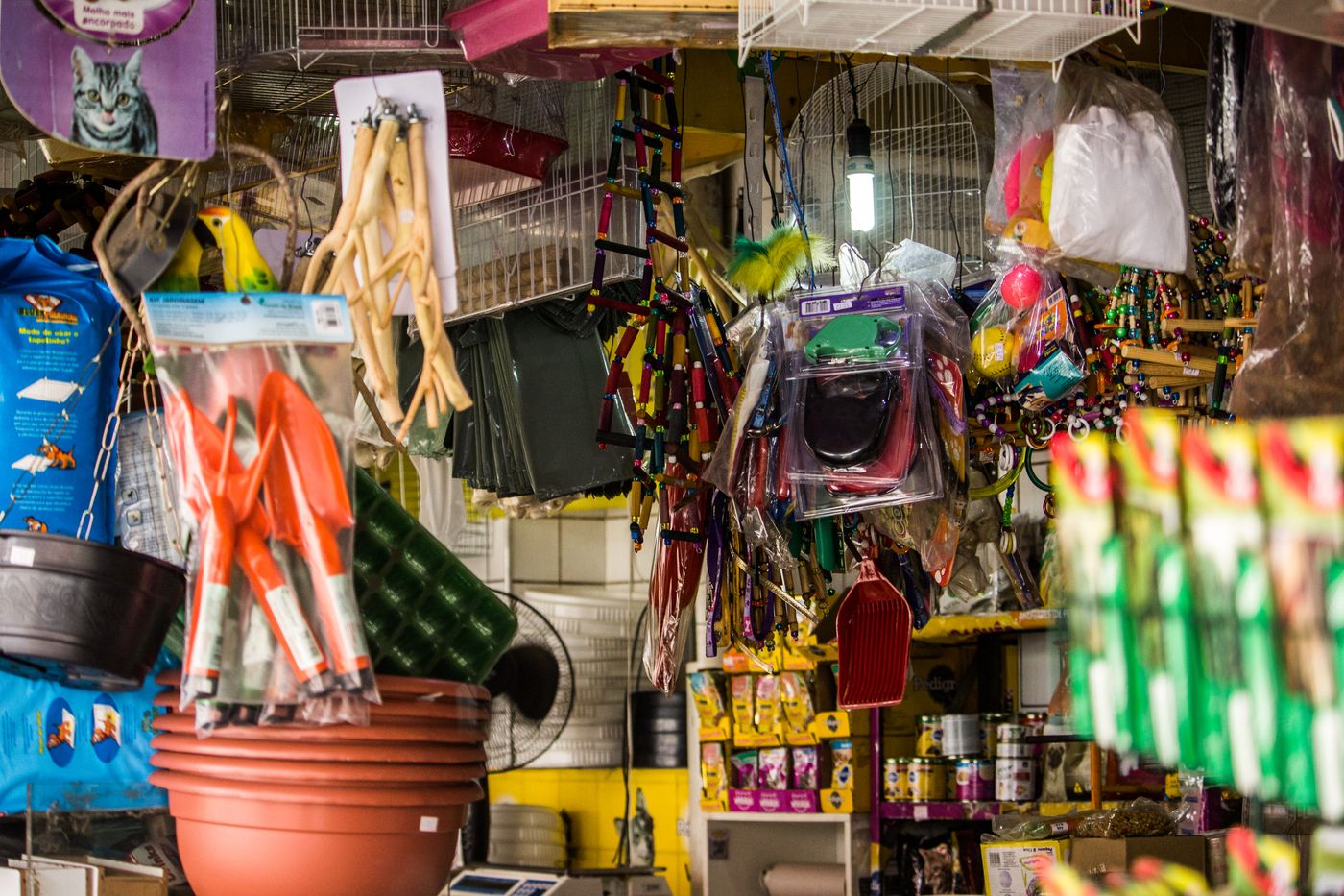 Vibrant pet shop scene featuring various animal supplies and merchandise arranged on shelves. - King Squishy