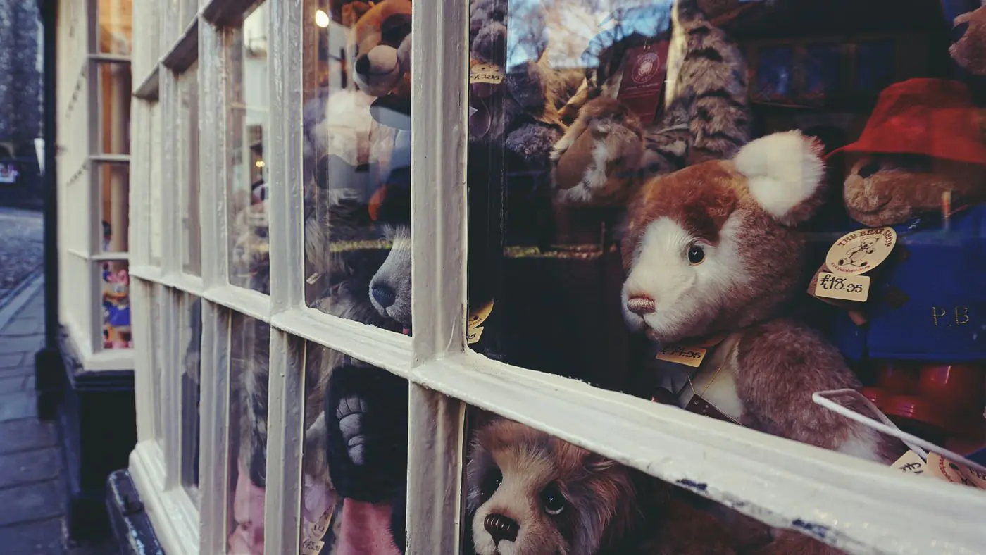 Una deliziosa vetrina di giocattoli di peluche nella finestra di un negozio di Norwich, che cattura l'essenza della fantasia. - King Squishy