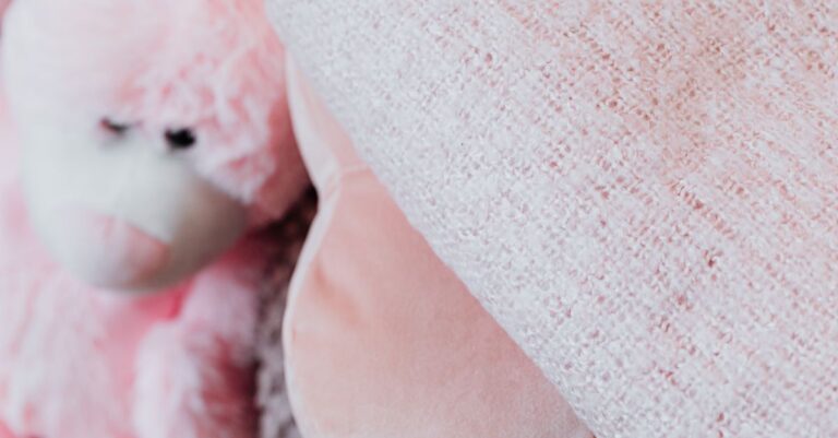 A textured pink blanket paired with a cute plush toy bear for a cozy feel. - King Squishy - King Squishy